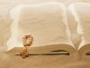 The Importance of Unlearning
